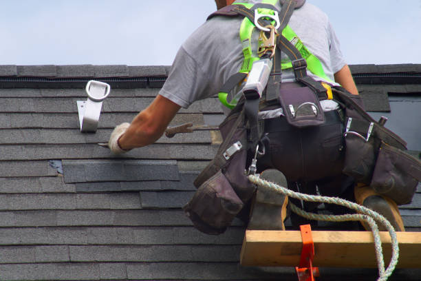 Professional Siding Installation & Repair in Jasper, GA